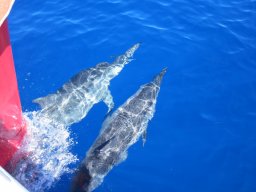 Visite de Célyne et Faf